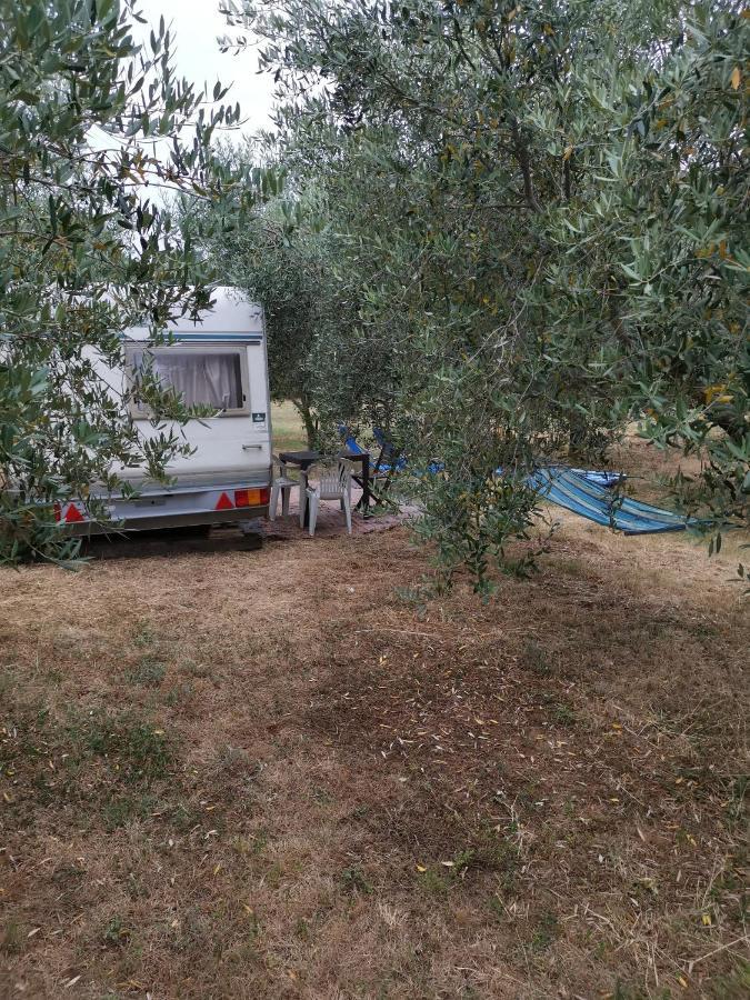 Jacuzi Cottage In The Olive Grove Pula Exterior photo