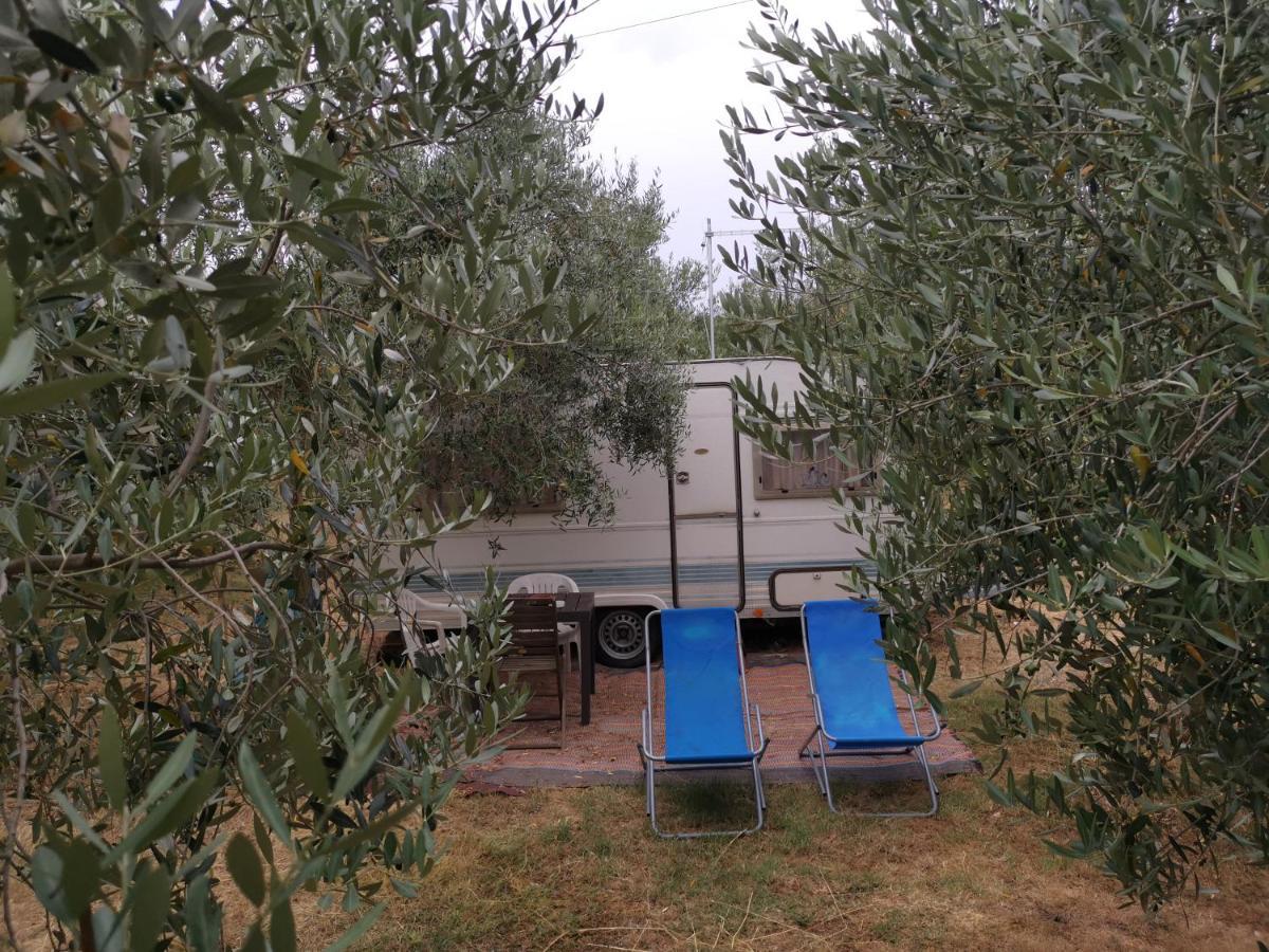 Jacuzi Cottage In The Olive Grove Pula Exterior photo