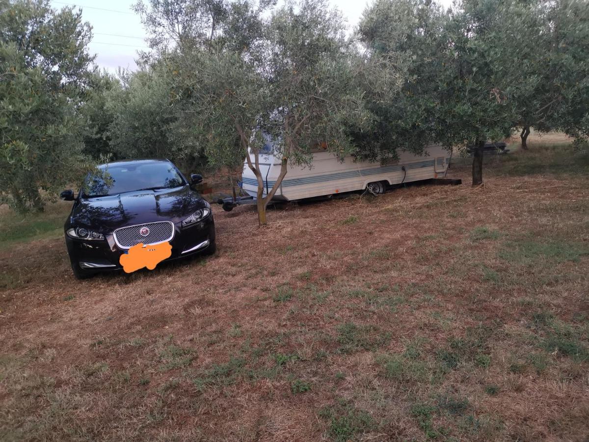 Jacuzi Cottage In The Olive Grove Pula Exterior photo