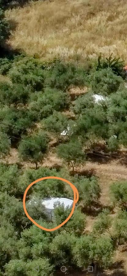 Jacuzi Cottage In The Olive Grove Pula Exterior photo