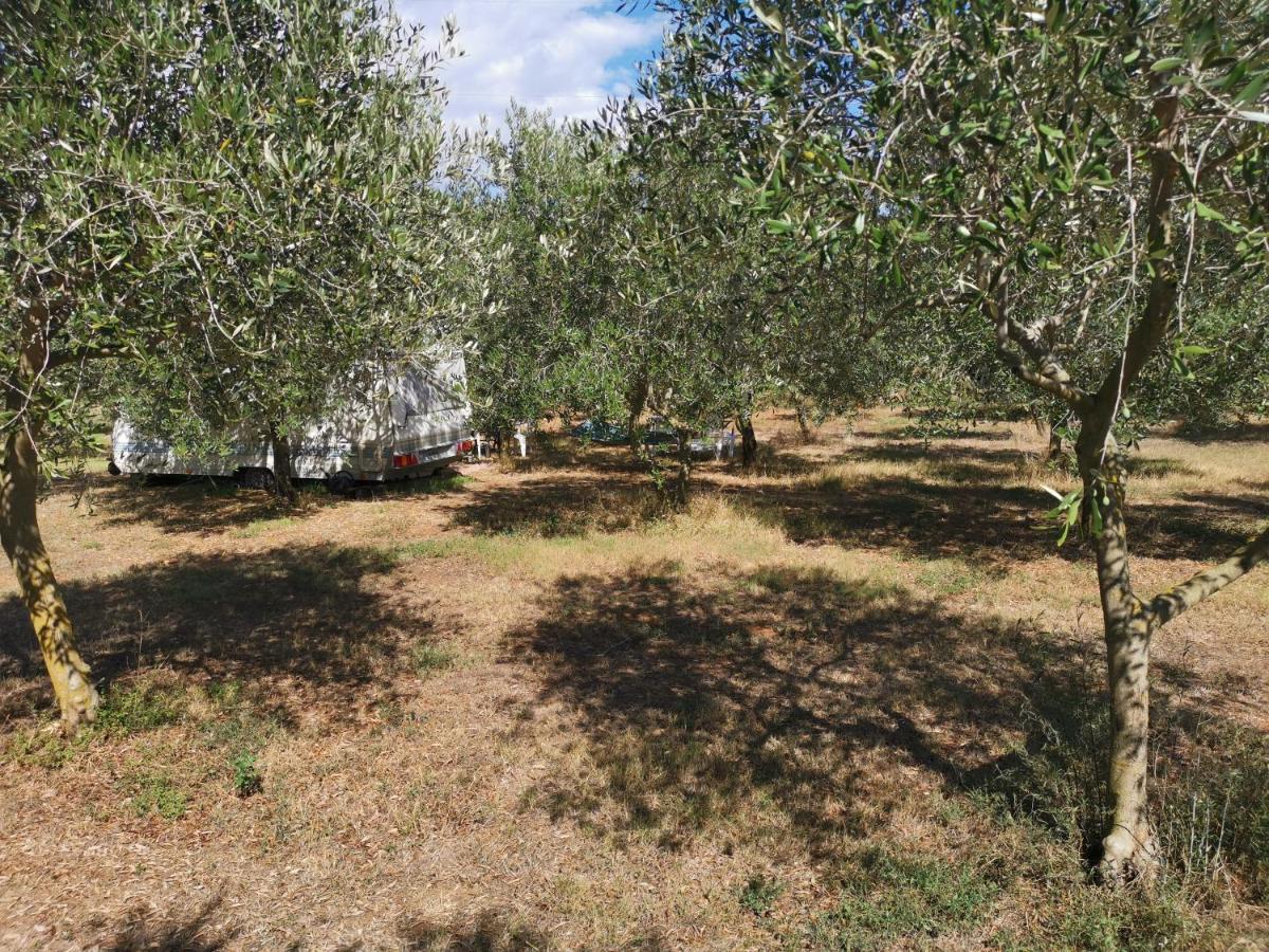 Jacuzi Cottage In The Olive Grove Pula Exterior photo