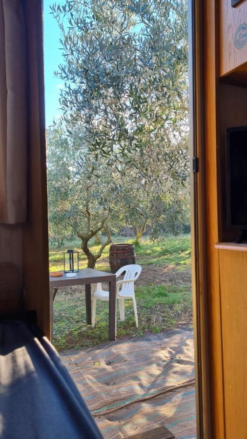 Jacuzi Cottage In The Olive Grove Pula Exterior photo