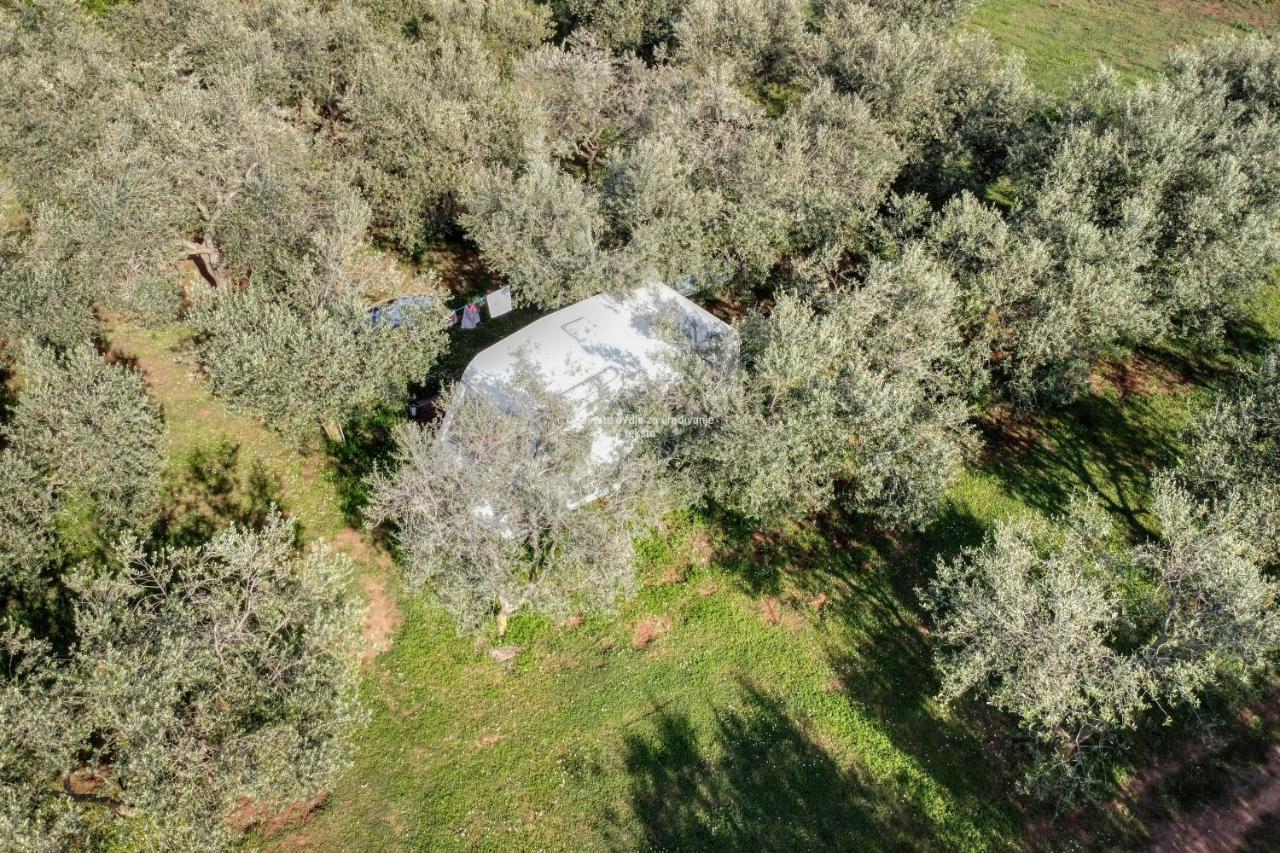 Jacuzi Cottage In The Olive Grove Pula Exterior photo