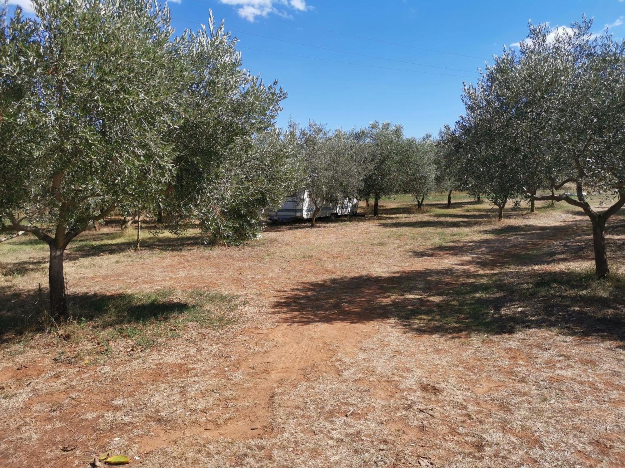 Jacuzi Cottage In The Olive Grove Pula Room photo